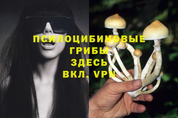 а пвп мука Бердск