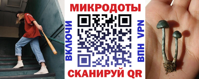 Галлюциногенные грибы прущие грибы  хочу   Черемхово 