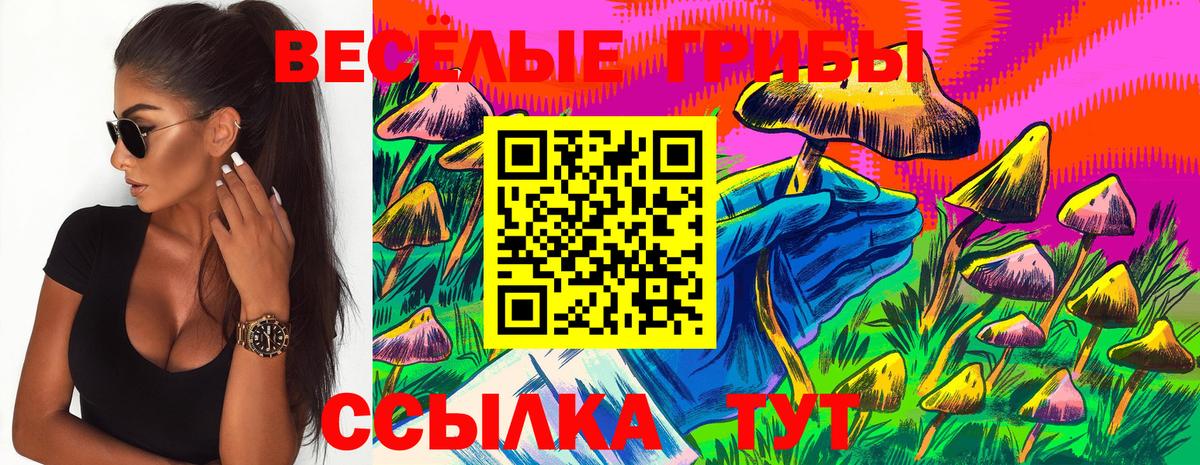 Псилоцибиновые грибы ЛСД  Вход с VPN  Черемхово  Галлюциногенные грибы MAGIC MUSHROOMS 